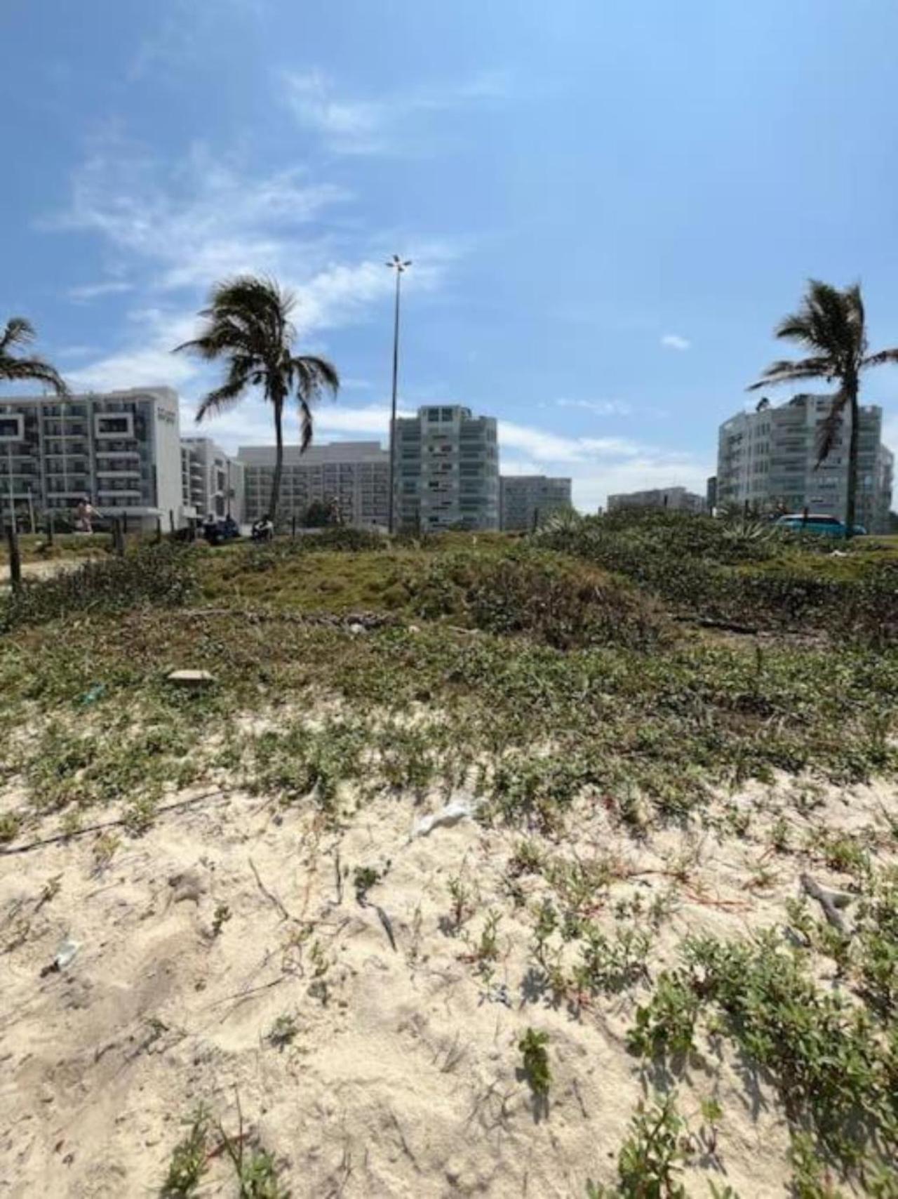 Decoracao Exclusiva Na Com Piscina, Sauna, Academia E Estacionamento Apartment